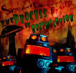 The Process Of Assimilation